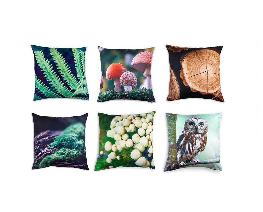 *Studio Play Themed Cushion Covers 6pk - Forest