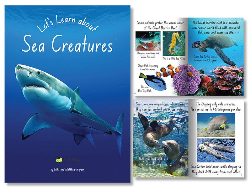 Big Book - Let's Learn about Sea Creatures