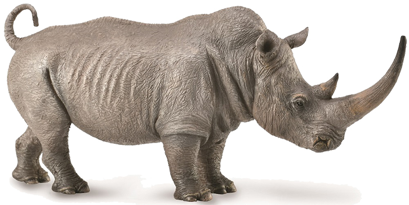 CollectA Wild Life Replica - White Rhinoceros 13 x 7cmH