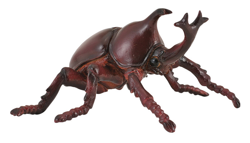 CollectA Insects & Bug Life Replica - Rhinoceros Beetle 6 x 3.5cmH