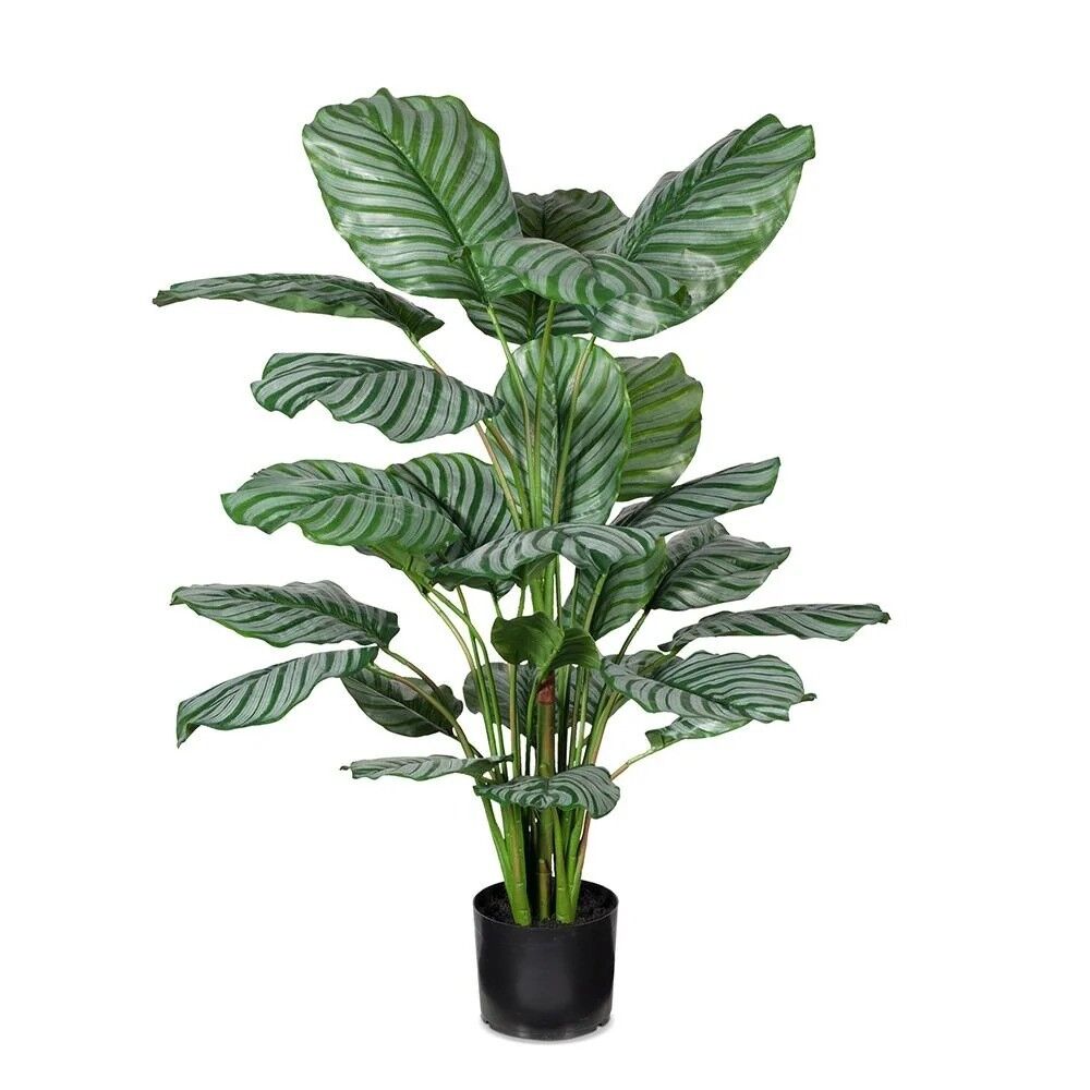 *Calathea Artifical Plant 110cmH