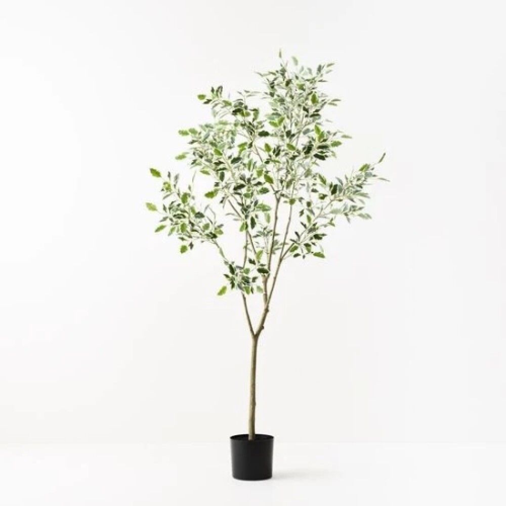 *Ficus Artificial Tree 210cmH