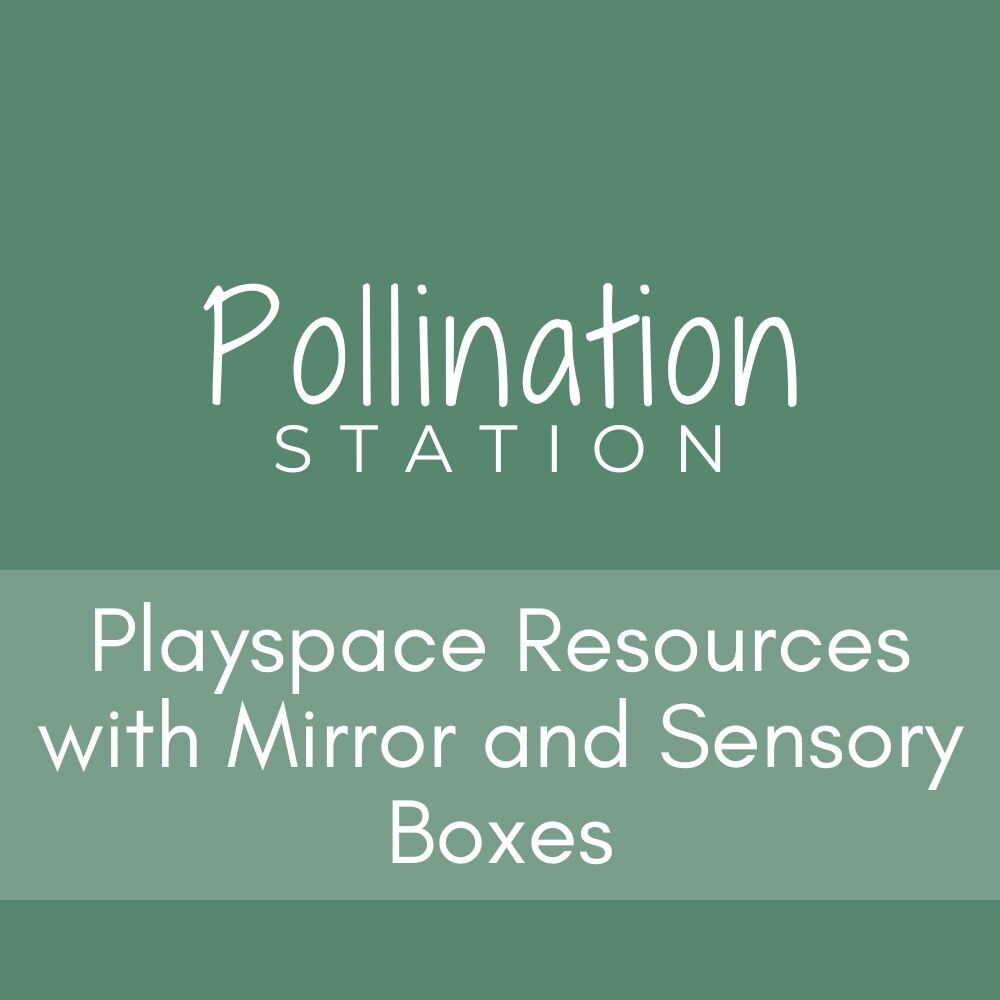 Pollination Station Playspace - Resources & Mirror
