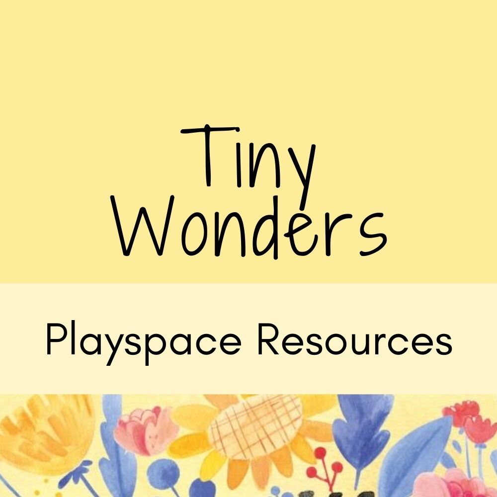 Tiny Wonders Playspace