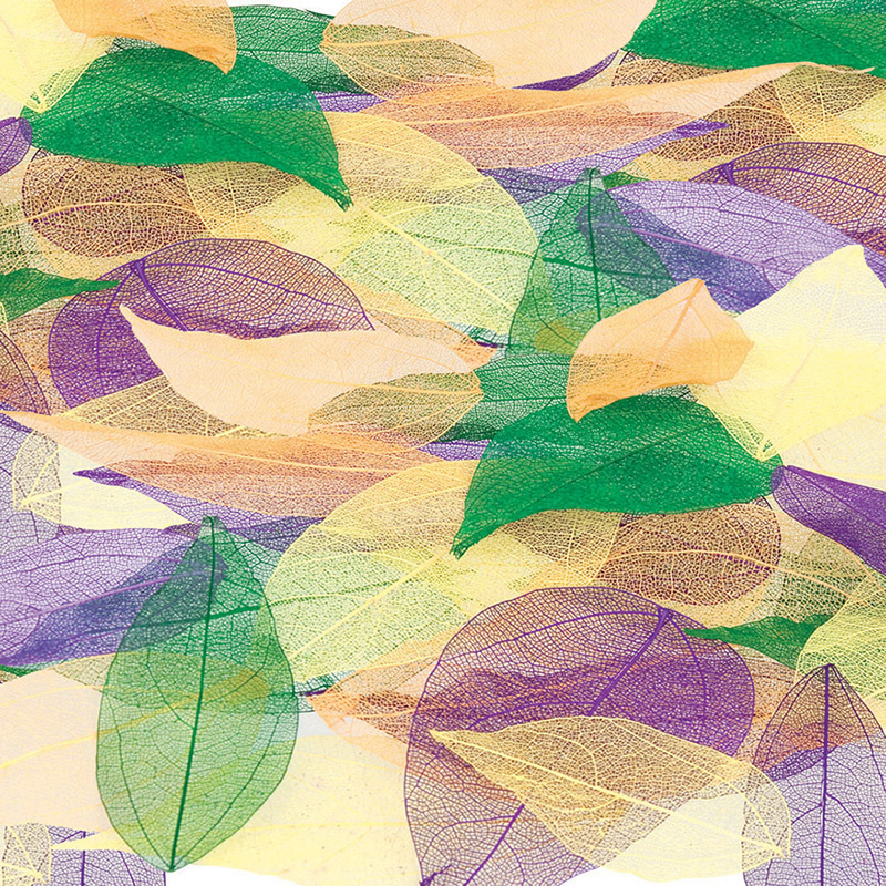Craft Leaves - Assorted Colours 100pk