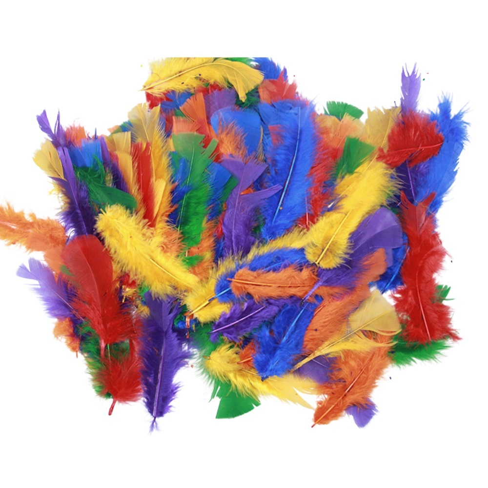 Feathers Assorted Colours - 250pcs