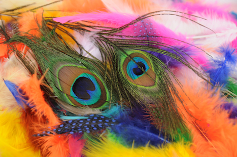 Feathers Assorted Colours With Peacock - 25gms