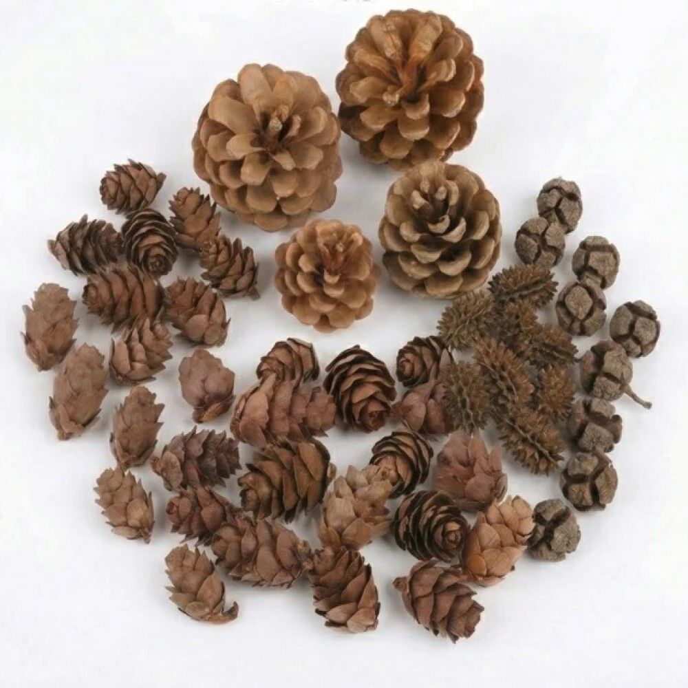 Natural Assorted Pine Cones - 500g