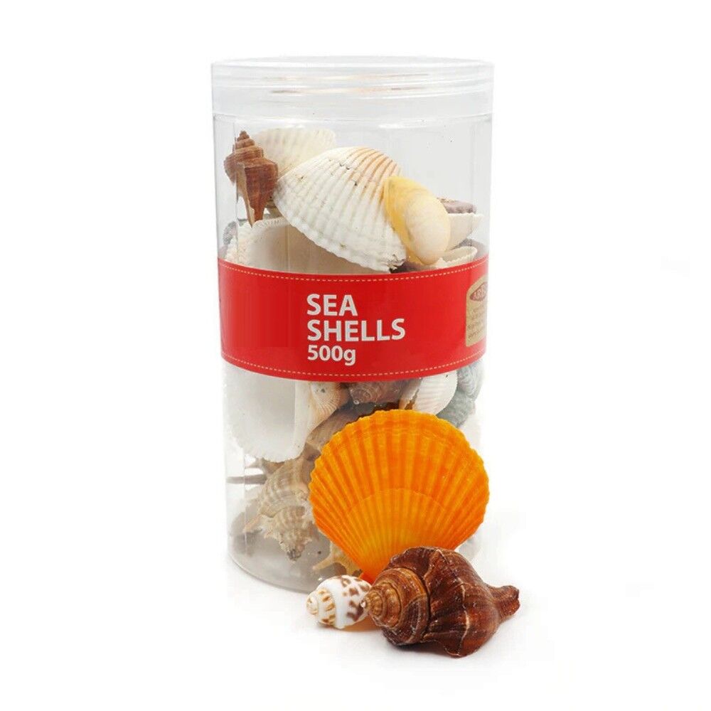 Natural Shells - 500g