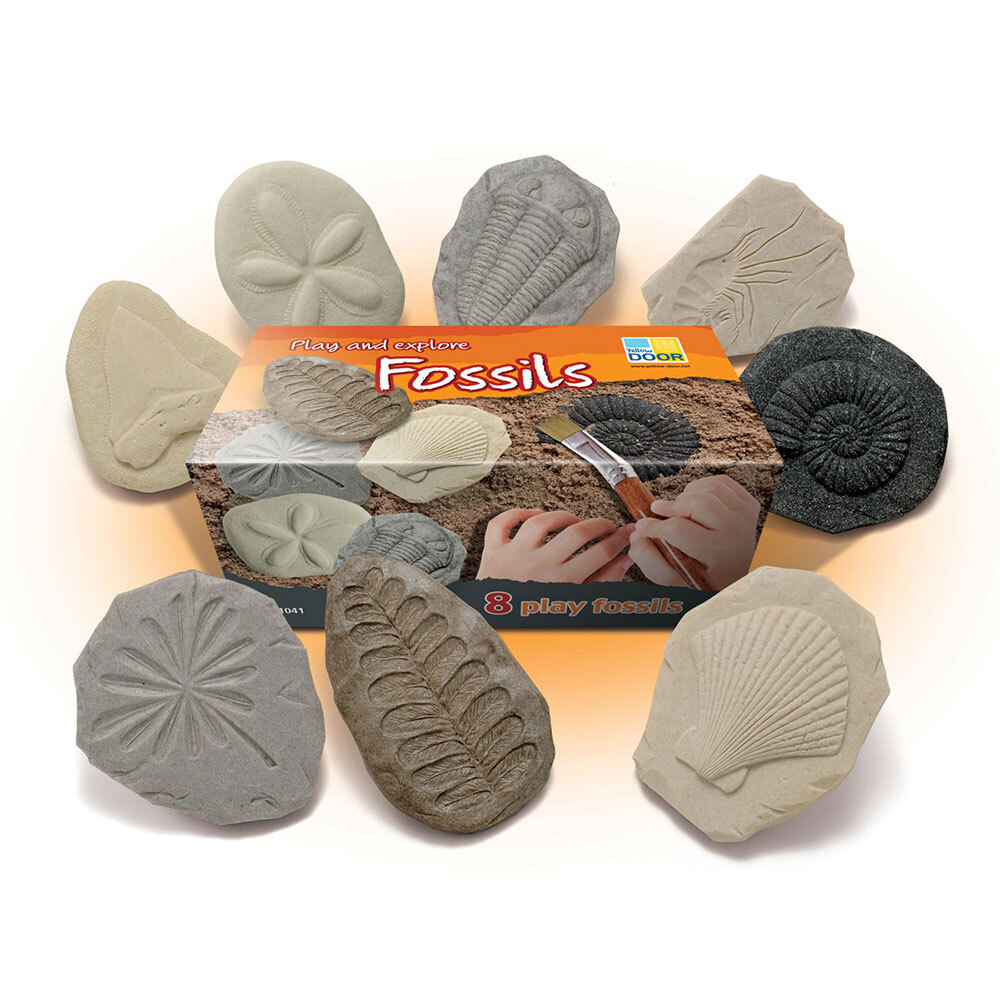 Let's Investigate Tactile Stones - Fossils