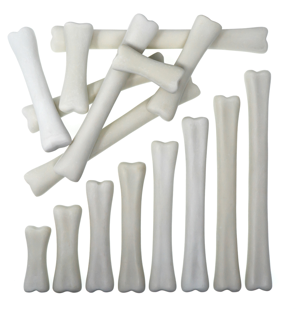 Dinosaur Bones Match and Measure Set
