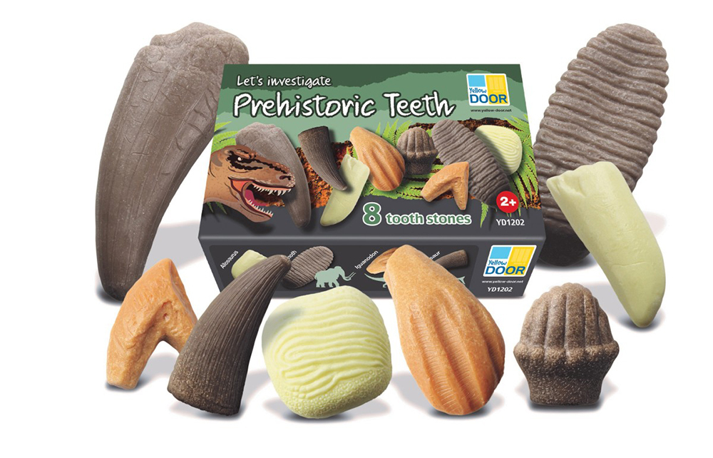 Let's Investigate - Prehistoric Teeth