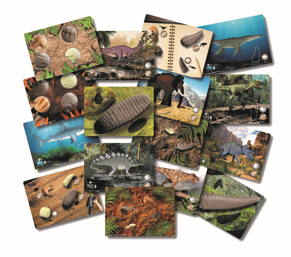 Prehistoric Teeth - Explore and Discover Activity Cards
