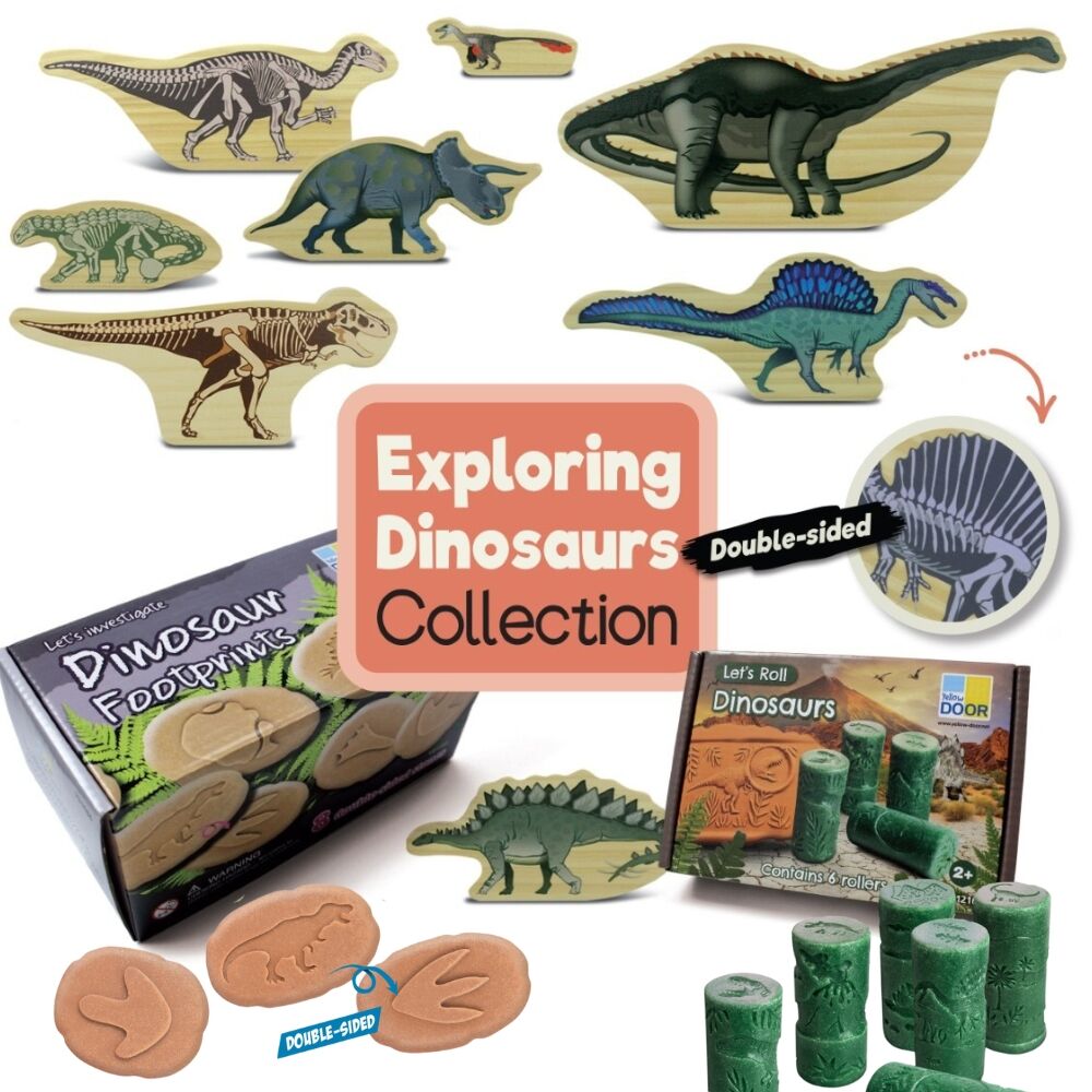 Exploring Dinosaurs Set