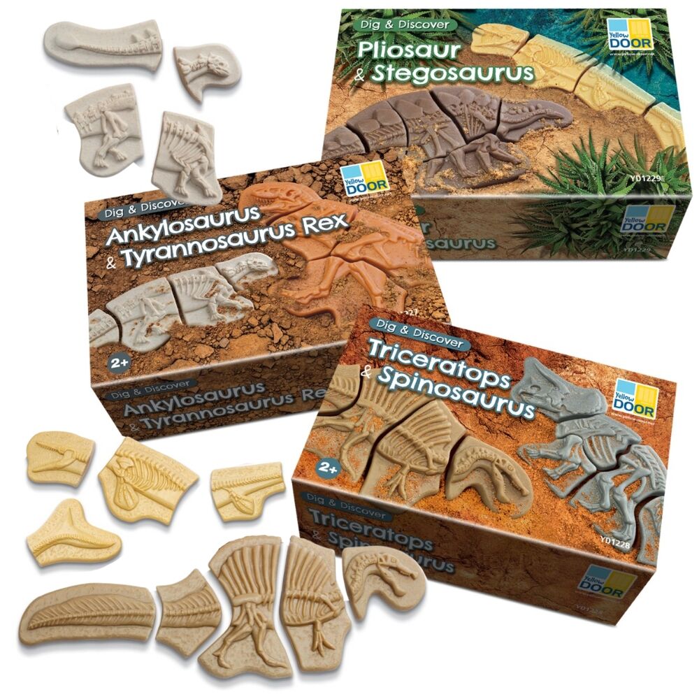 Dig and Discover Set -  6 Dinosaurs