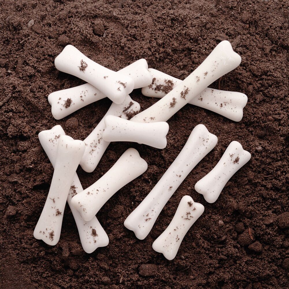 Dinosaur Bones Discovery - Set of 12