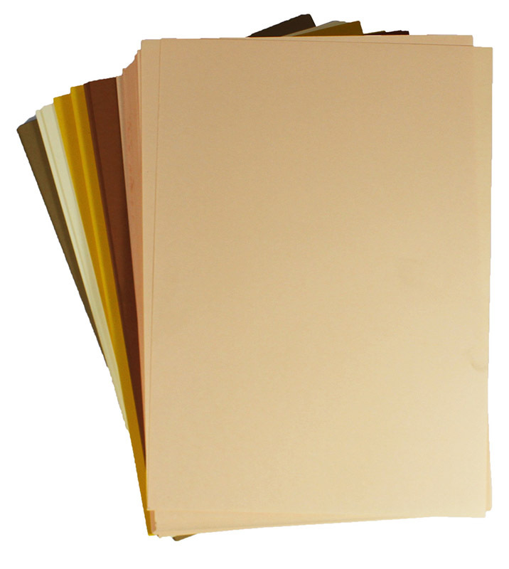 Cover Paper 125gsm Skin Tones 250pk - A4 Assorted