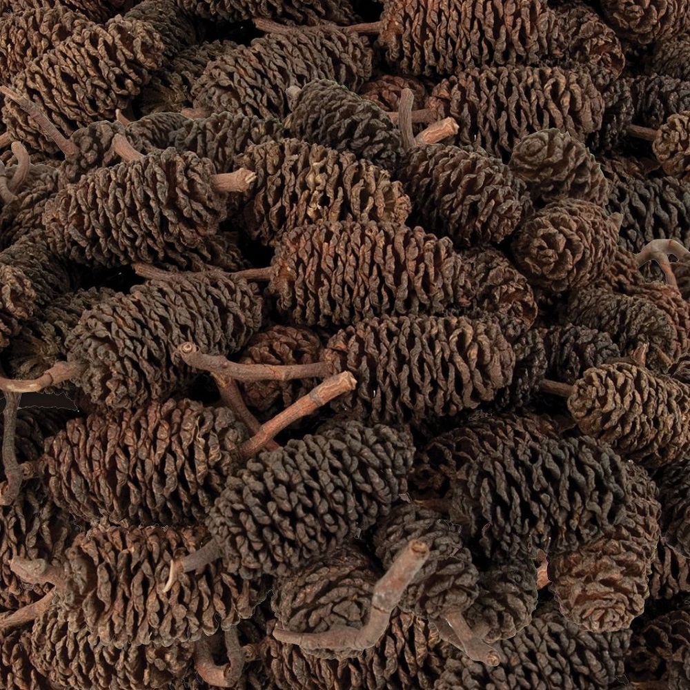 Bud Cones - 220g