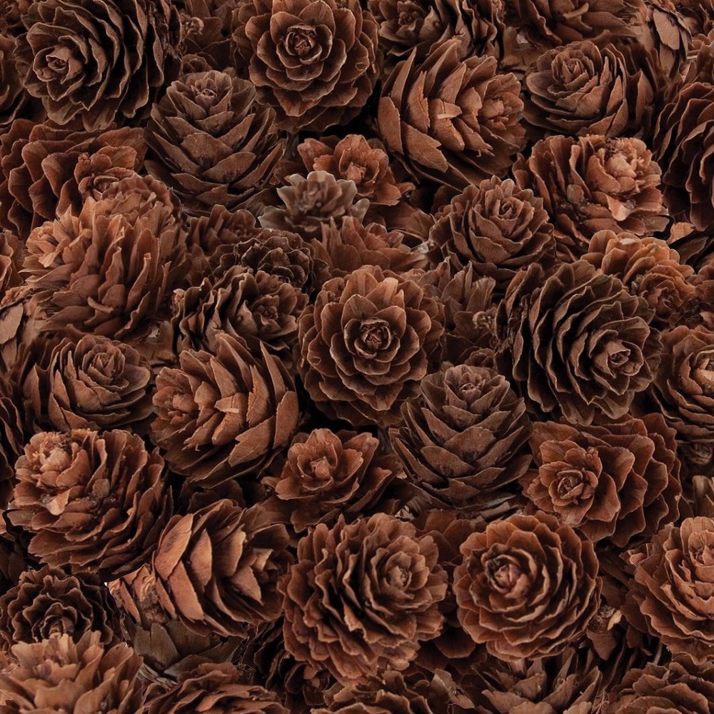 Pine Cones Mini - 190g