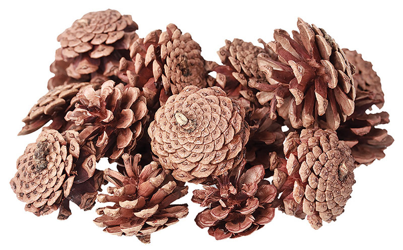 Pine Cones - 200g