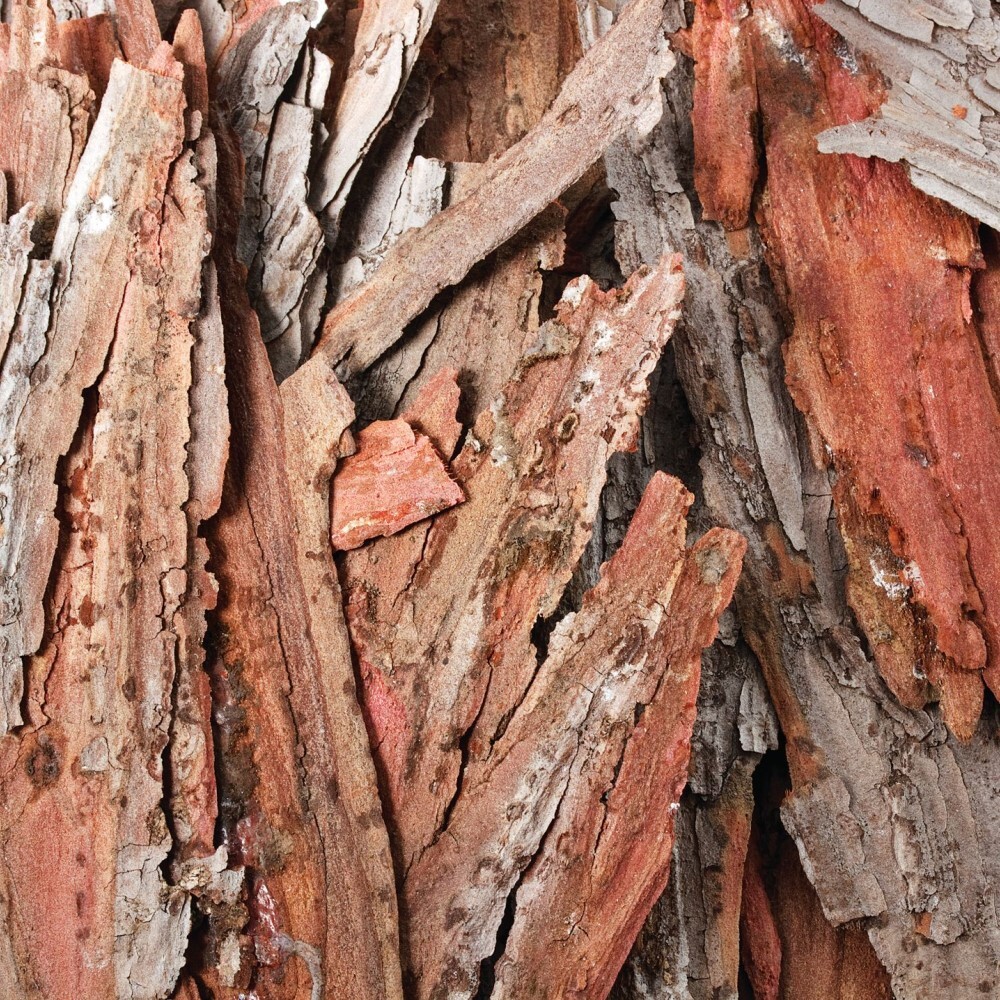 Bark Pieces - Assorted 250g