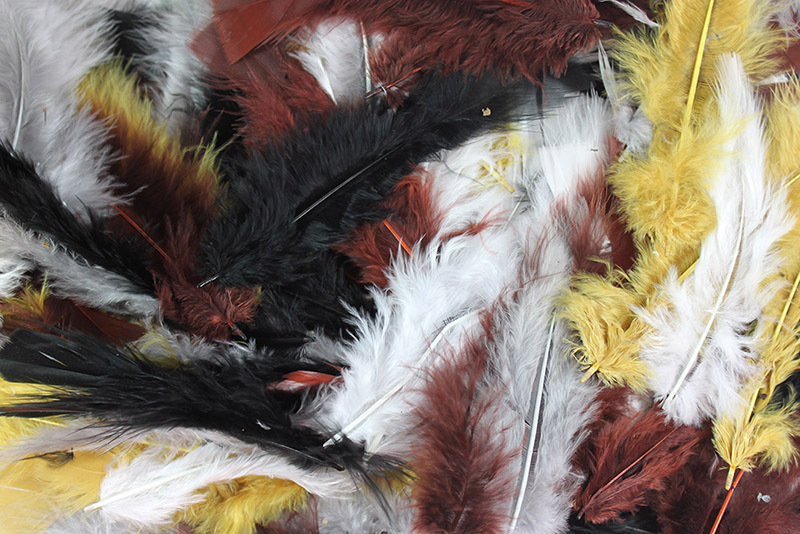 Feathers Assorted Natural Colours - 250pcs