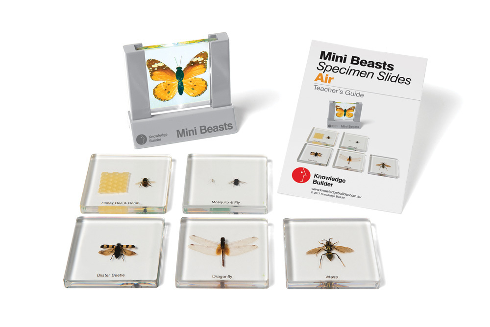 Mini Beasts Specimen Slides & Viewer - Air