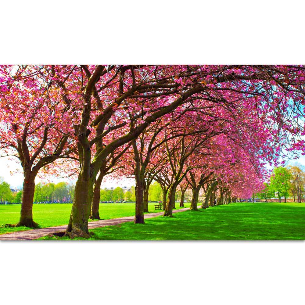 *Studio Play Themed Large Backdrop 3m x 1.7m - Spring