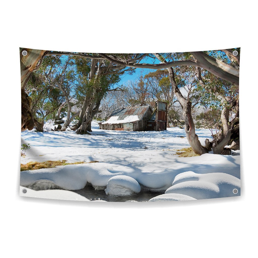 Studio Play Themed Large Backdrop 3m x 1.7m - Winter