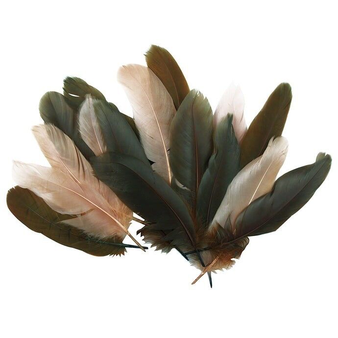 Feathers Natural Mix - 60g