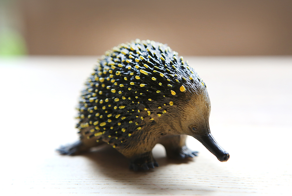 Australian Animal Replica - Short Beaked Echidna 6cmH