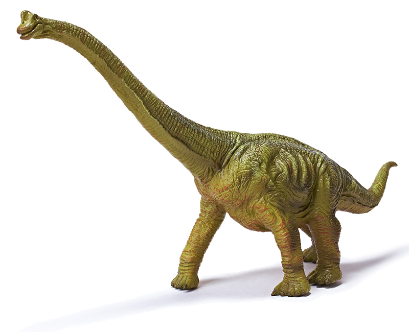 Large Soft PVC Dinosaur Replica - Brachiosaurus