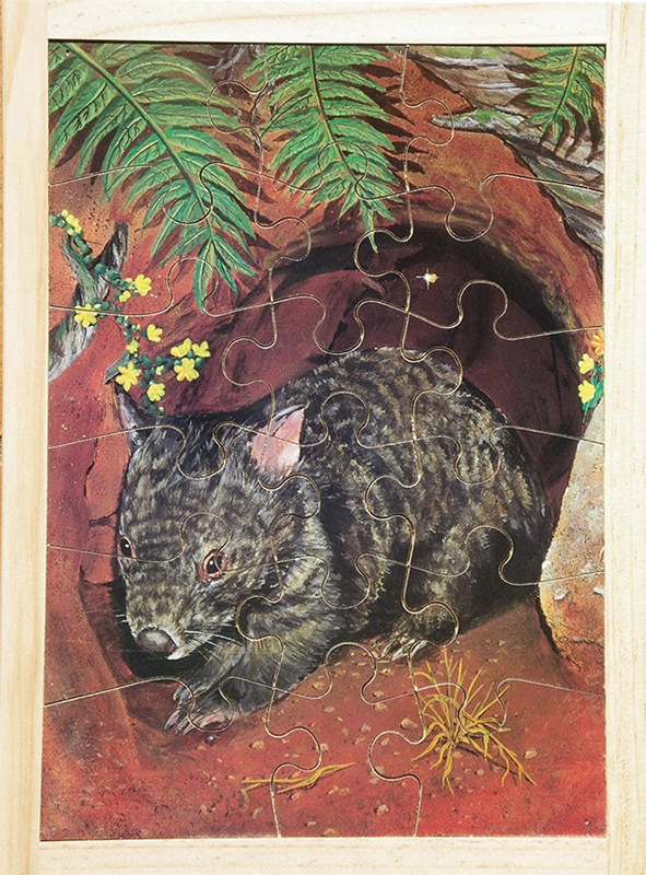 Australian Animals Puzzle - Wombat 18pcs