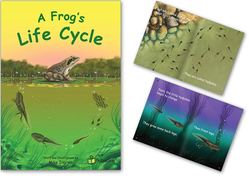 Big Book - A Frog's Life Cycle