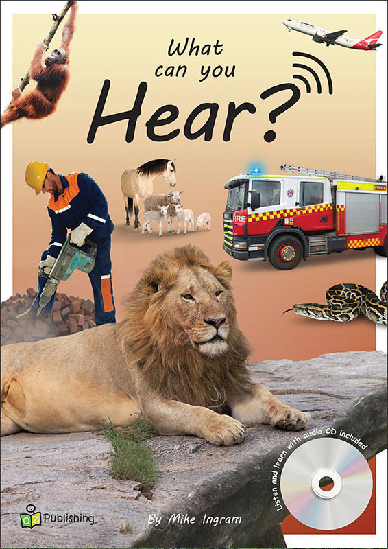 Big Book - What Can You Hear? Big Book & CD