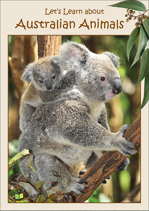 Big Book - Let's Learn about Australian Animals
