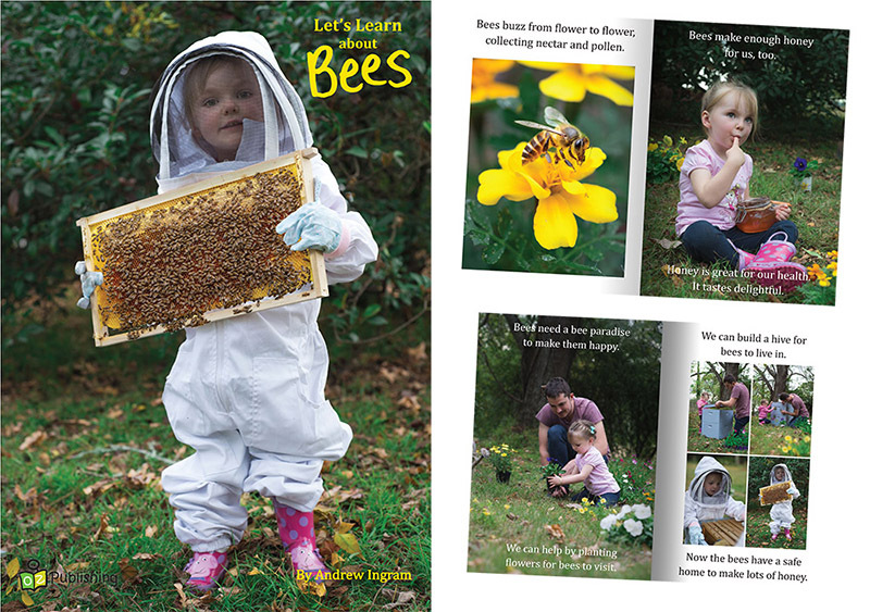 Big Book - Let's Learn about Bees