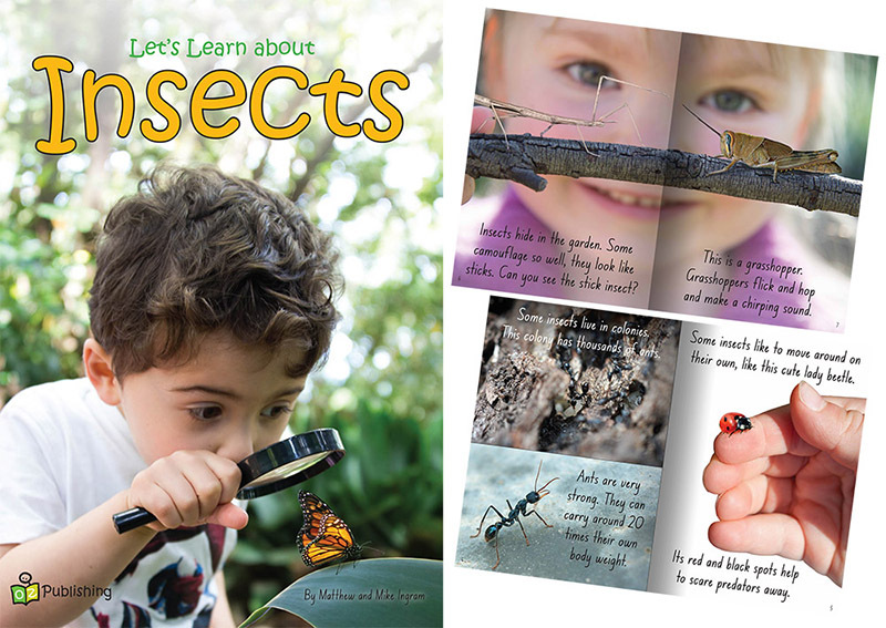 Big Book - Let's Learn about Insects