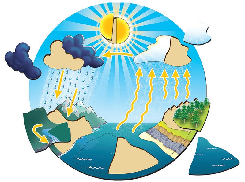 Tuzzles Life Cycle Raised Puzzle - Water Cycle 12pcs