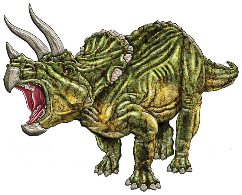 Tuzzles Triceratops Floor Puzzle - 53pcs