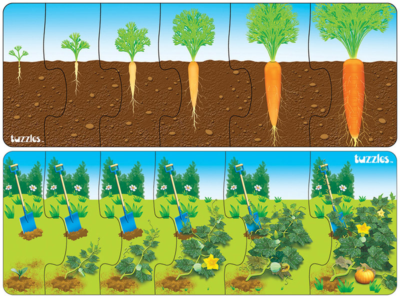 Tuzzles Plant Growth Sequence Puzzles - Set of 2