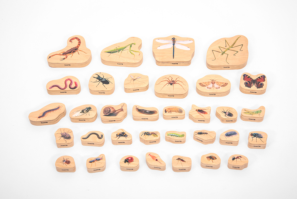 *Wooden Minibeast Blocks - 33pcs