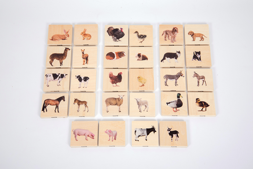 Domestic Animal Family Match - 28pcs