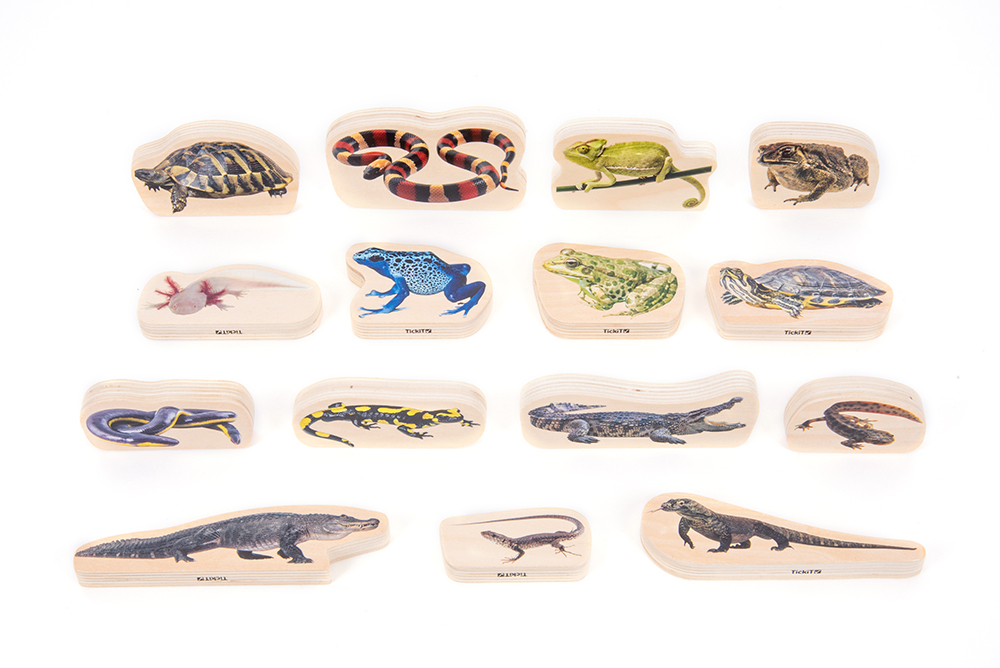 Wooden Reptile & Amphibian Blocks - 15pcs