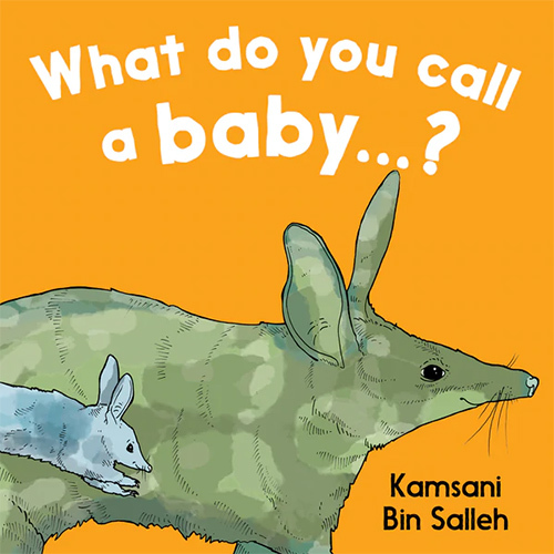What do you call a baby...? - Board Book