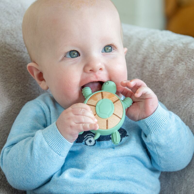 Silisoft Turtle Teether