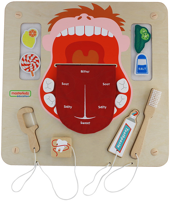 Masterkidz Wall Elements - Oral Care Learning Board