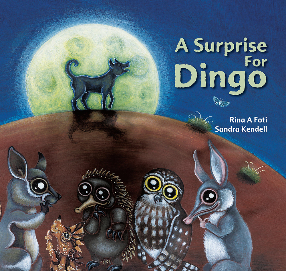 A Surprise For Dingo - Paperback Book