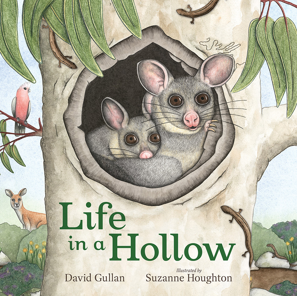 Life in a Hollow - Hardcover Book