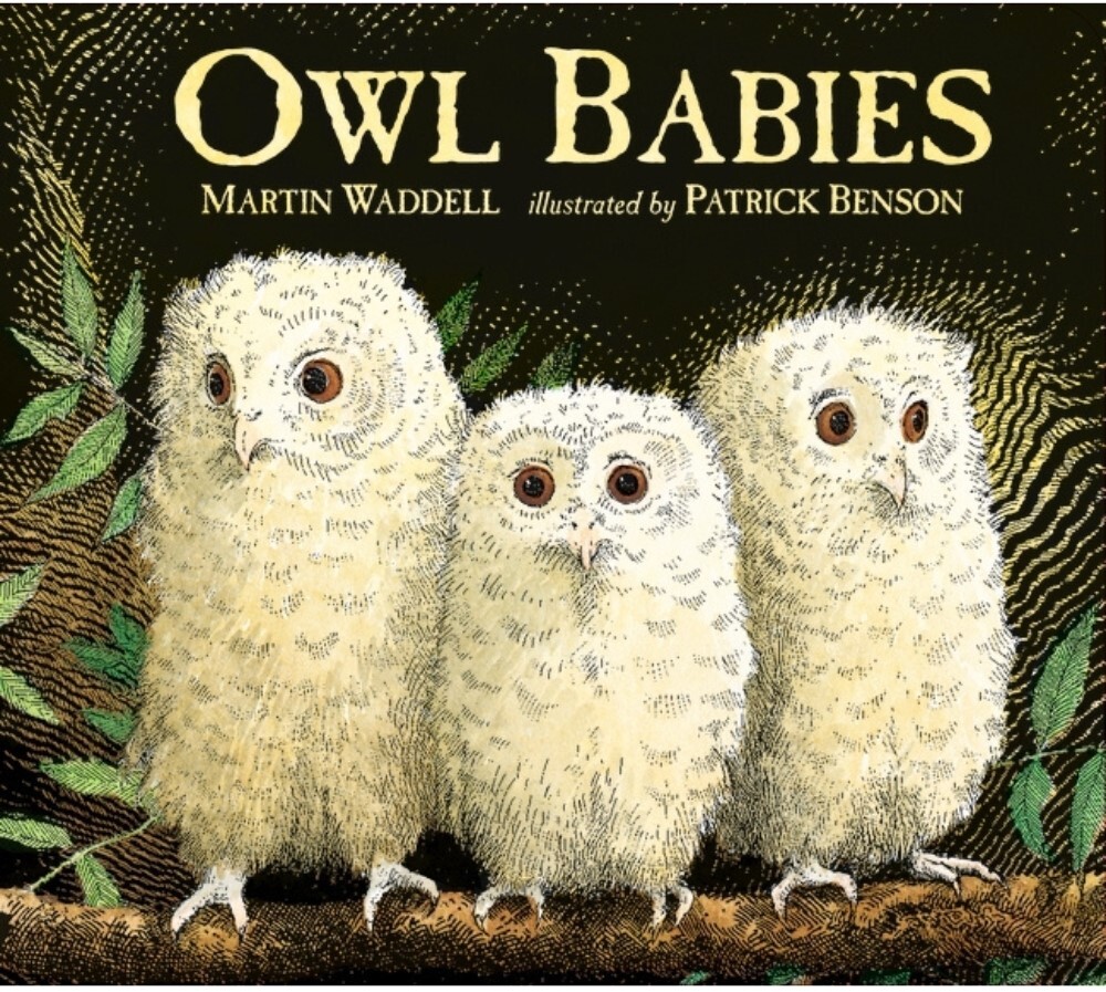 Owl Babies - Board Book